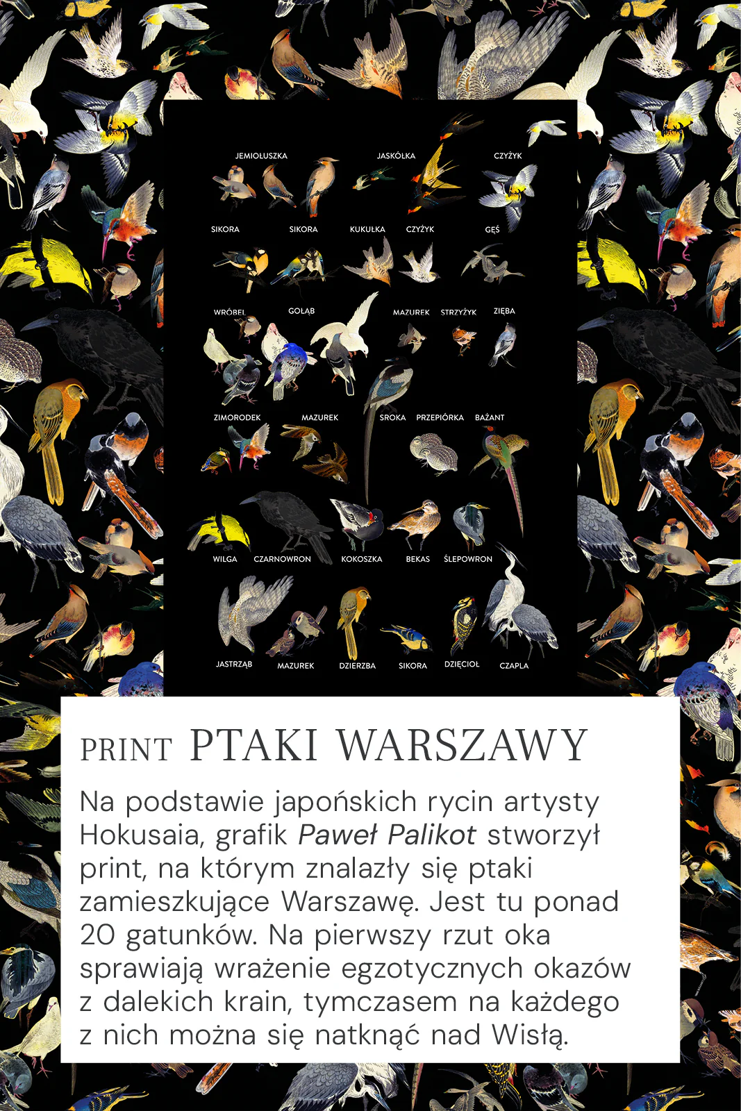Zdjęcie produktu 13